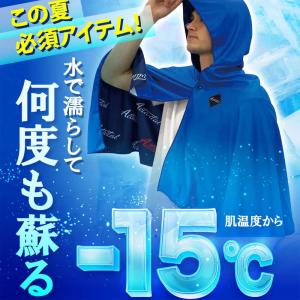 アクティバイタル Activital クールメ...の詳細画像2