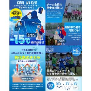 アクティバイタル Activital クールメ...の詳細画像4