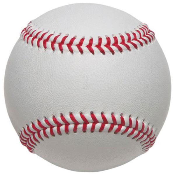 ミズノ MIZUNO サイン用ボール (硬式ボールサイズ) 野球 サイン用品 (1GJYB13200...