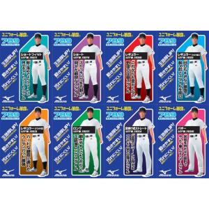 練習用スペアパンツ【MIZUNO】野球　ユニフォーム　ウェア13ss（52PW-789　52PW789）