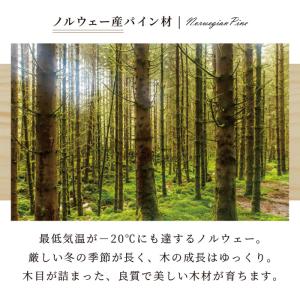 ソファベッド セミシングル フレームのみ 外寸...の詳細画像3