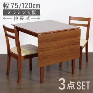 ナガエプリュス テーブルマット 2枚セット 未使用 ナガエプリュス