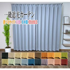 ドレープカーテン バリエ 一級遮光 防炎 幅15...の商品画像