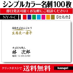 名刺 印刷 作成 激安 ビジネスカラー シンプル 100枚 送料無料 ny-9-c｜pixel1