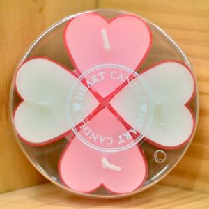 プチクール ホワイト