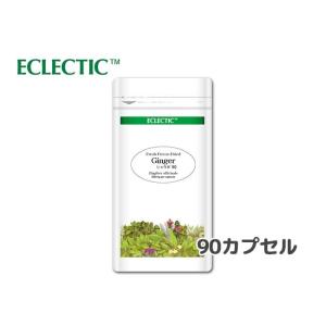 ショウガ エクレクティック Ecoパック ジンジャー 395mg×90カプセル