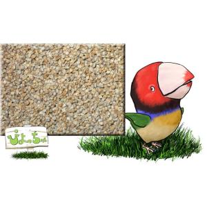 赤ヒエ　5kｇｘ4