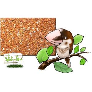 【ネコポス便】赤キビ　500ｇ