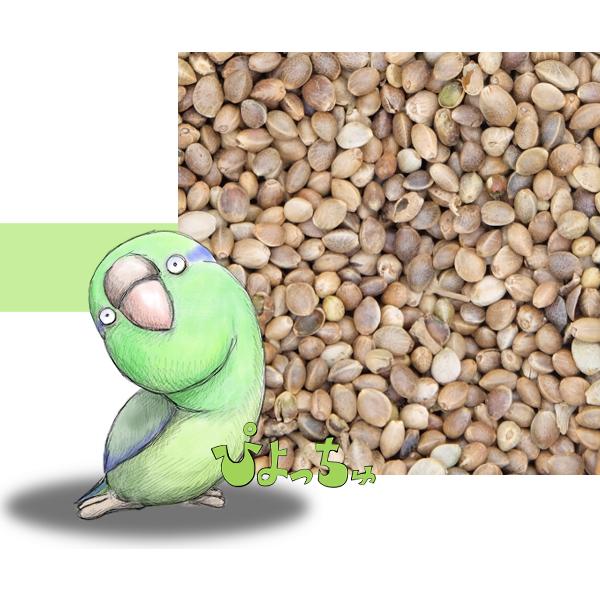 麻の実　20kｇ　紙袋入