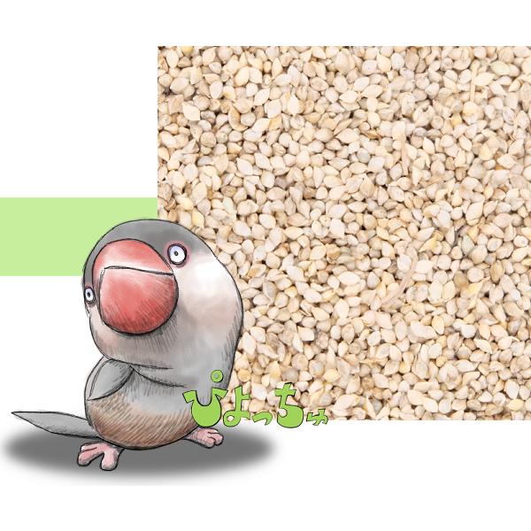 玄ヒエ　20kｇ　袋入