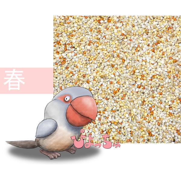 カエデ鳥・文鳥春用ブレンド　1kgx10