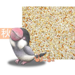 カエデ鳥・文鳥秋用ブレンド　500g×2｜piyocyu-ash