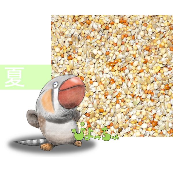 カエデ鳥・文鳥夏用ブレンド　2.5kgx2
