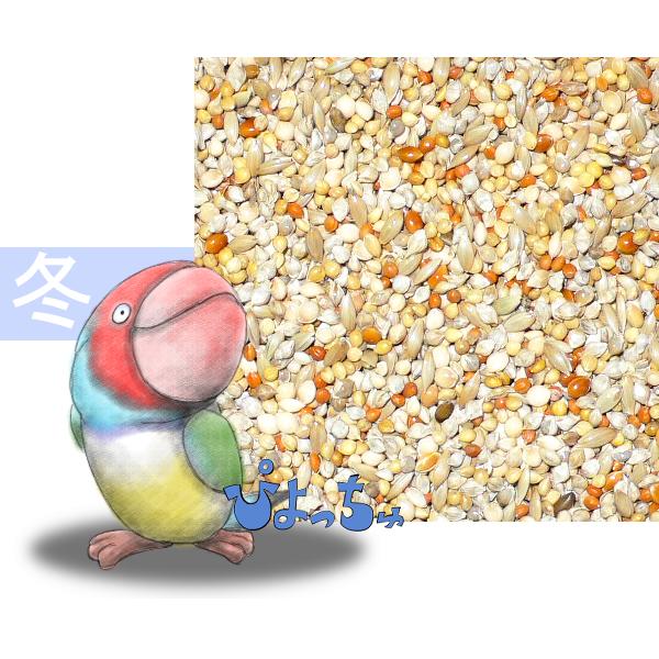 カエデ鳥・文鳥冬用ブレンド　2.5kg×8