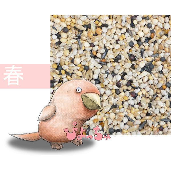 カナリヤ春用ブレンド　2.5kgx6