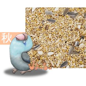 ラブバード・マメルリハ・中型インコ秋用ブレンド　2.5kg×2｜piyocyu-ash