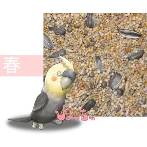 オカメインコ春用ブレンド　2.5kgx6｜piyocyu-ash