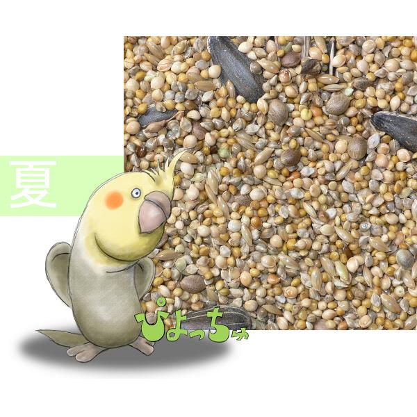 オカメインコ夏用ブレンド　2.5kgx8
