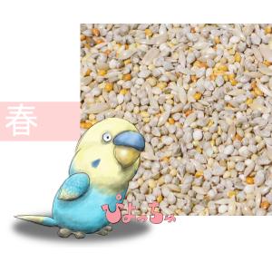 セキセイインコ春用ブレンド　1kg×5｜piyocyu-ash