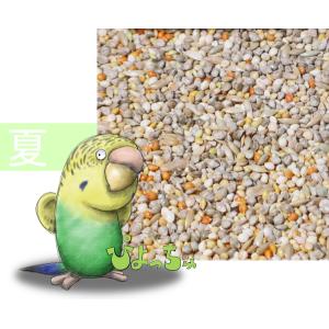 セキセイインコ夏用ブレンド　500g×2