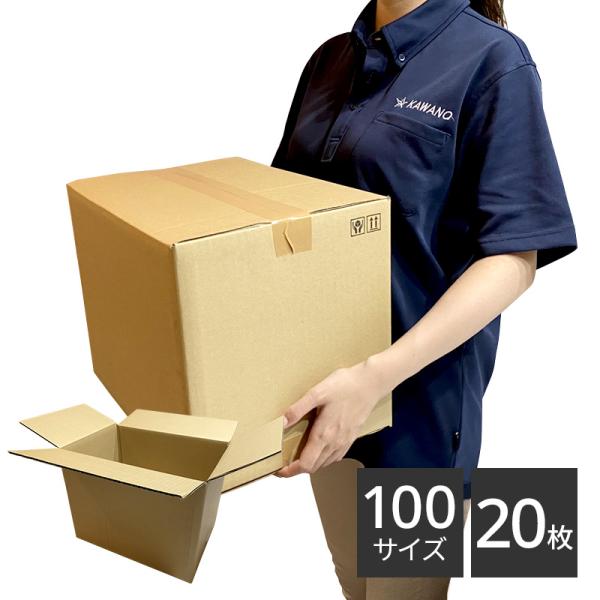 ダンボール 100サイズ×20枚セット 377×267×284 引っ越し 包装用 梱包 宅配 収納 ...
