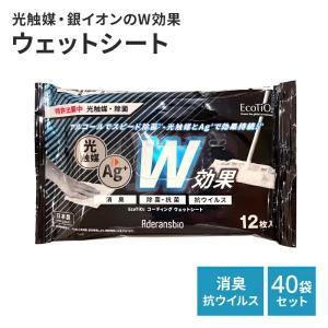 EcoTiO2 コーティングウェットシート 40袋セット 除菌シート アルコール除菌シート お掃除シート ウェット シート アルカリ電解水｜pladan-factory-ys