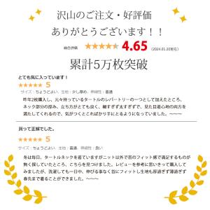 トップス タートルネック インナー レディース...の詳細画像1
