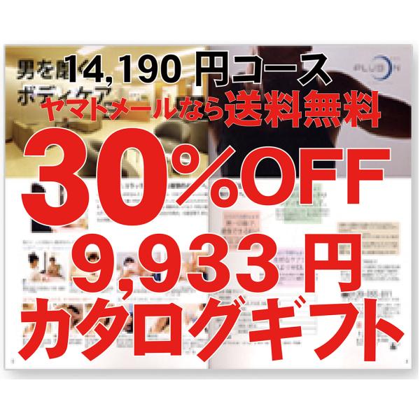 お中元　御供　内祝 カタログギフト 14190円コース香典返し忌明け 満中陰志 法事 法要 内祝 御...