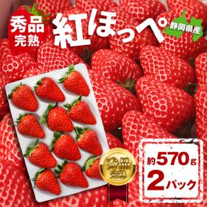 紅ほっぺ いちご イチゴ 苺 贈答用 570g 24〜30玉入り 直送 国産 静岡県産 静岡 静岡県 果物 日本産 フルーツ 冷蔵 クール便 取り寄せ 産地直送 農家直送 高糖度｜plaisir-shop