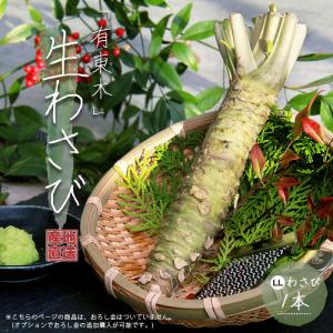 生わさび 有東木 LL(90-120g)1本 わさび 山葵 wasabi 手土産