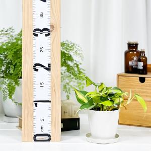 PLANCHU 観葉植物 フィロデンドロン オ...の詳細画像3