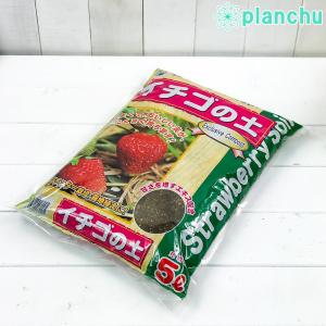 イチゴの土 5L 培養土 いちご イチゴ苗｜planchu