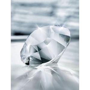 スワロフスキー 2006年 SCS限定品 Eternity Heart Swarovski Eternity Heart Crystal Collectible 2006 SCS