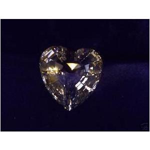 SWAROVSKI（スワロフスキー） Swarovski SCS 2014年度限定作品