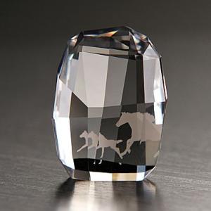 SWAROVSKI スワロフスキー 2006年限定　エタニティ 楽天市場】スワロフスキー 2006年 SCS会員限定 ウミガメ 海ガメ