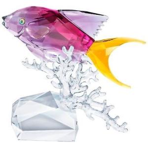 SWAROVSKI（スワロフスキー） 魚 熱帯魚 3匹のアンティアス 5428652
