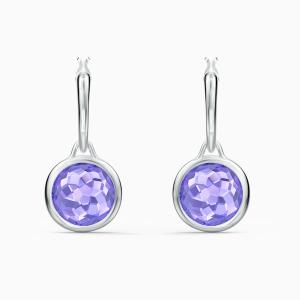 SWAROVSKI スワロフスキー Swarovski フェザー 羽 Nice スタッド