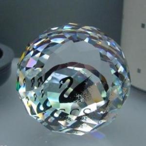 SWAROVSKI（スワロフスキー） Swarovski SCS 2014年度限定作品