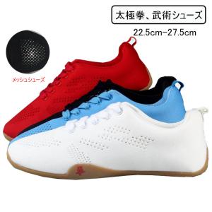 太極拳 靴 メッシュ シューズ 夏 太極拳用 シューズ