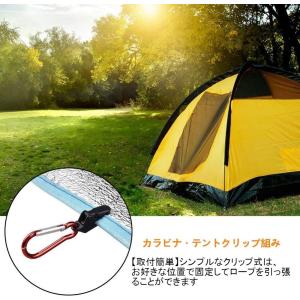 タープクリップ テントクリップ カラビナ付き ...の詳細画像1