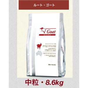 ビィ ナチュラル ルート ゴート  ビィナチュラル