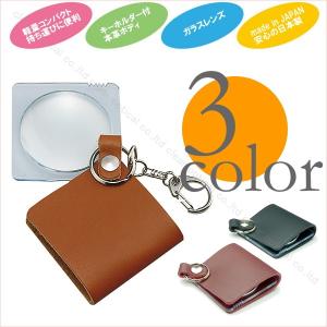 Magnify クリップオングラス拡大鏡／マグネット付き : フライ02 - 通販