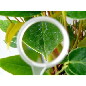 ルーペ 日本製 高倍率 3.5倍 30mm プ...の詳細画像2