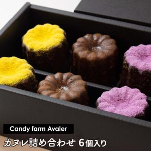 カヌレ 詰め合わせ １箱 （６個セット） Candy farm