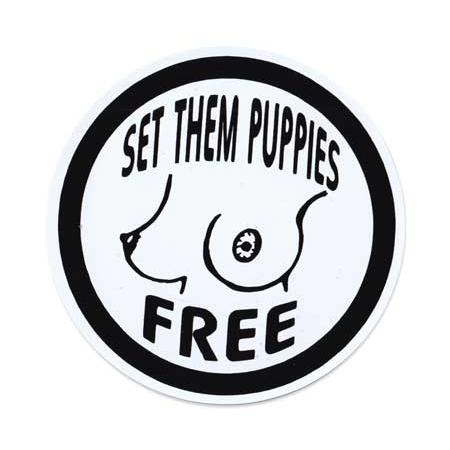 ステッカー 車 アメリカン セクシー おしゃれ バイク ヘルメット かっこいい おっぱい SET T...