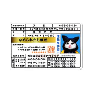 なめ猫 ステッカー かわいい レトロ 昭和 懐かしい 猫 グッズ ロゴ03