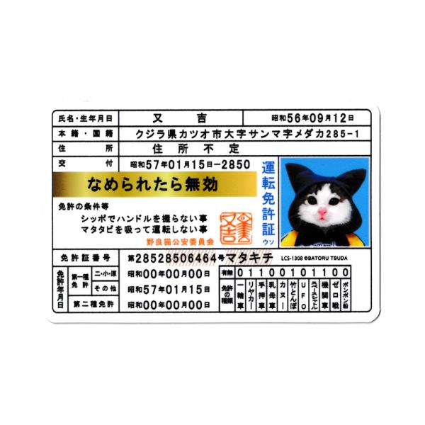 なめ猫 ステッカー かわいい レトロ 昭和 懐かしい 猫 グッズ 免許証02 又吉