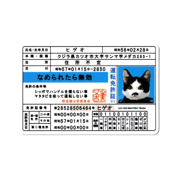 なめ猫 ステッカー かわいい レトロ 昭和 懐かしい 猫 グッズ 免許証03 ヒゲオ