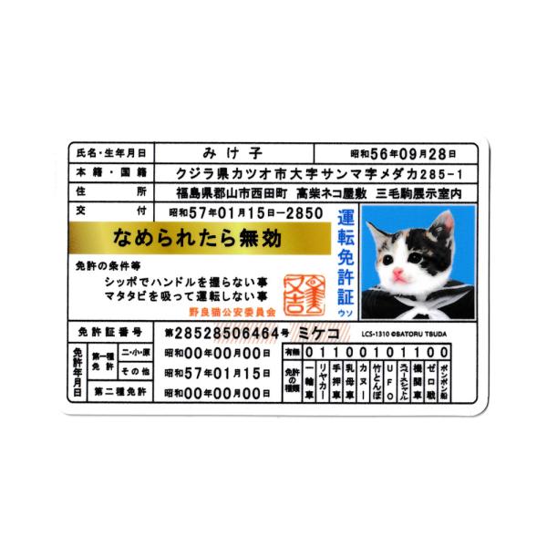 なめ猫 ステッカー かわいい レトロ 昭和 懐かしい 猫 グッズ 免許証04 みけ子