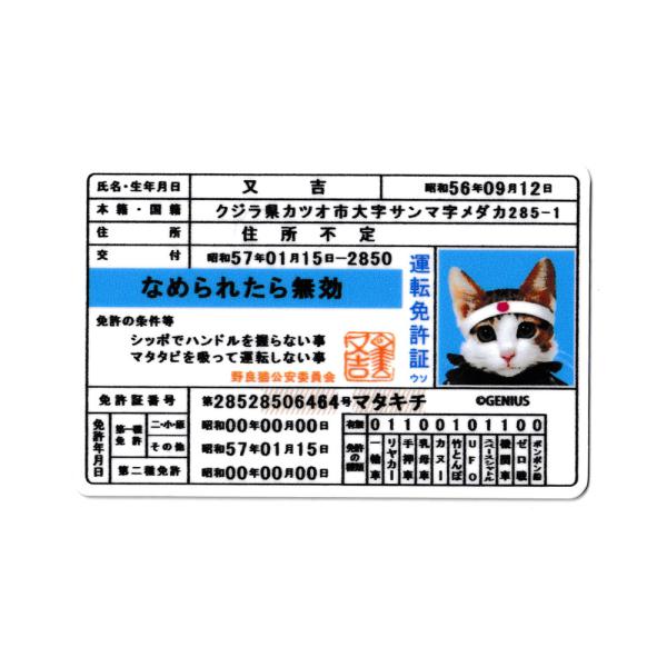 なめ猫 ステッカー かわいい レトロ 昭和 懐かしい 猫 グッズ ダイカットミニステッカー 免許証 ...